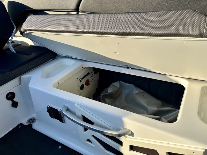 Slide: The Image of Scarab 285 ID 2023 - 35