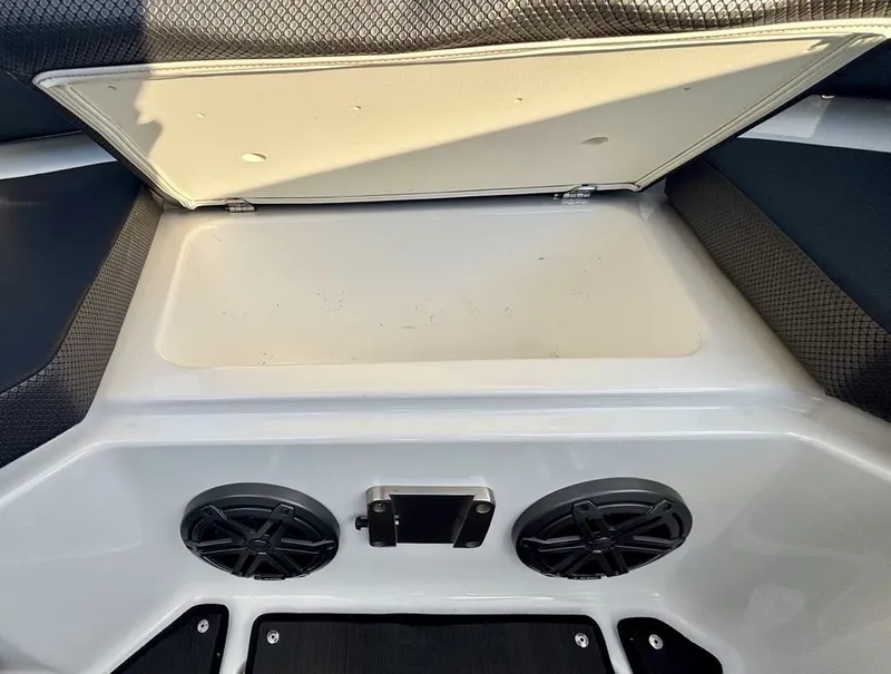 Slide: The Image of Scarab 285 ID 2023 - 9