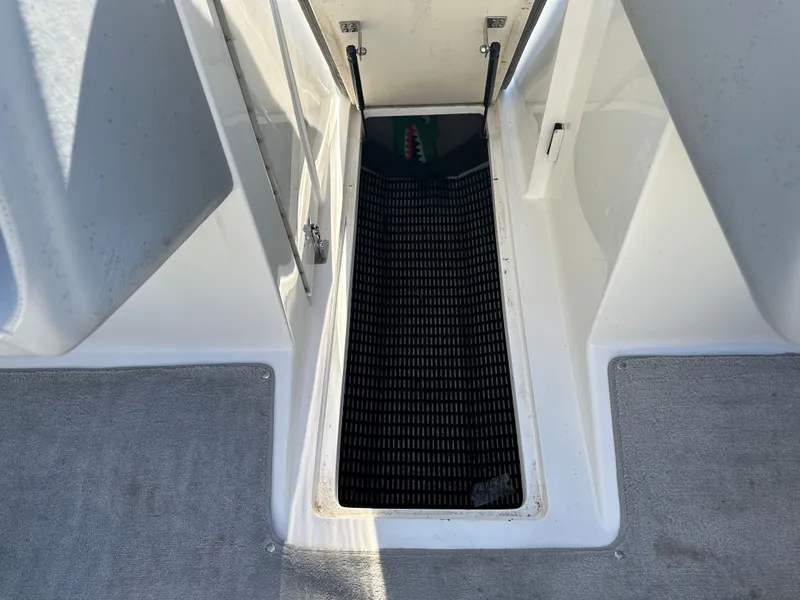 Slide: The Image of Cobalt 232 1999 - 18