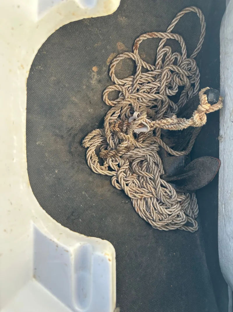 Slide: The Image of Cobalt 232 1999 - 23