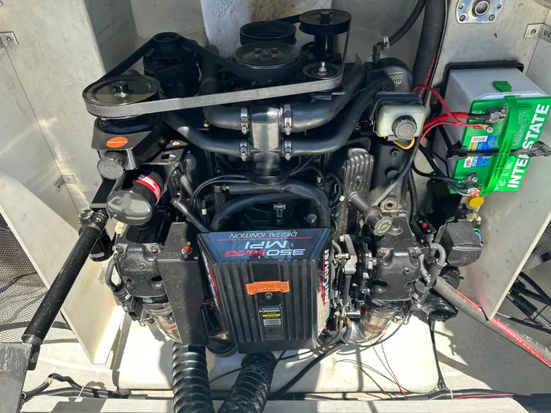 Slide: The Image of Cobalt 232 1999 - 8