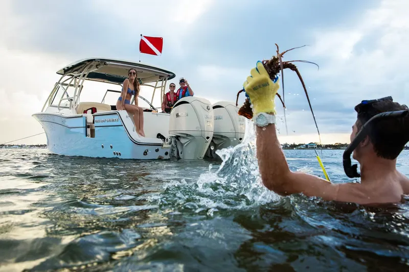 Slide: The Image of Grady-White Freedom 307 2026 - 3