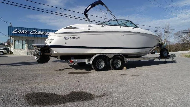 Slide: The Image of Cobalt 252 2007 - 24