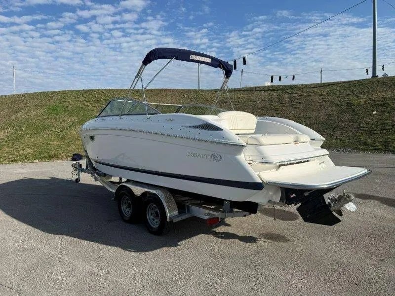 Slide: The Image of Cobalt 252 2007 - 51