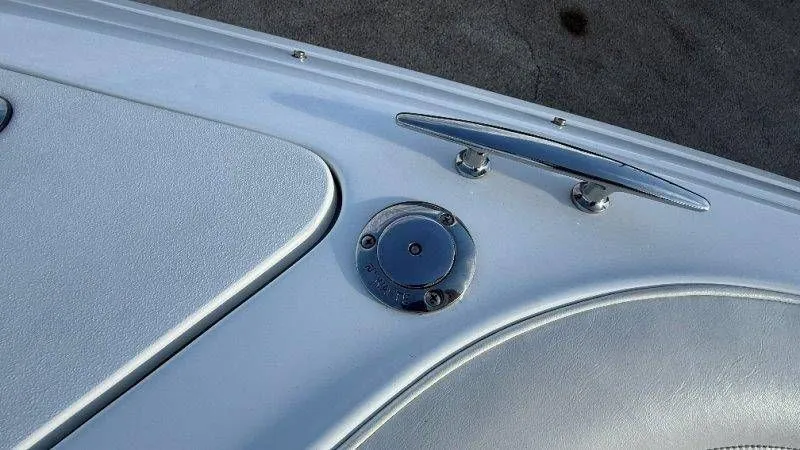 Slide: The Image of Cobalt 252 2007 - 65