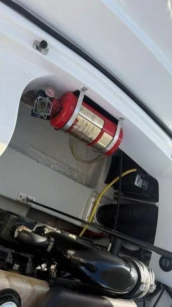 Slide: The Image of Cobalt 252 2007 - 70