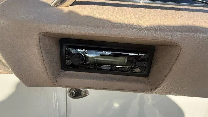 Slide: The Image of Cobalt 252 2007 - 72