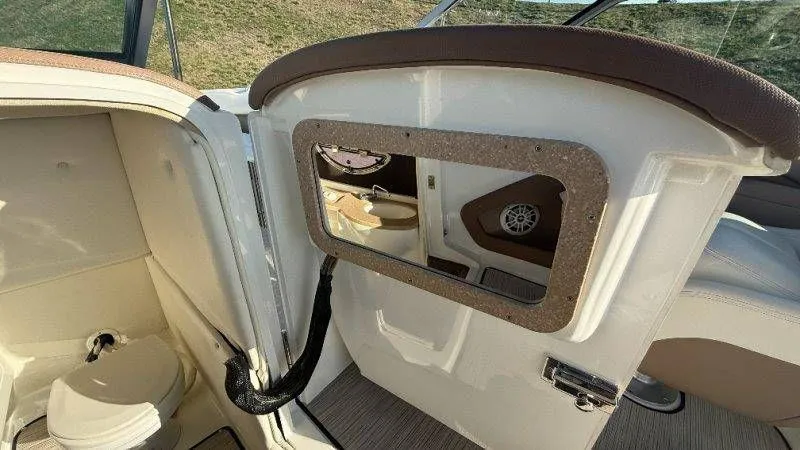 Slide: The Image of Cobalt 252 2007 - 83