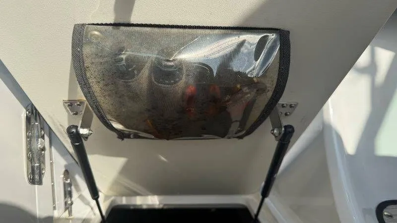 Slide: The Image of Cobalt 252 2007 - 93