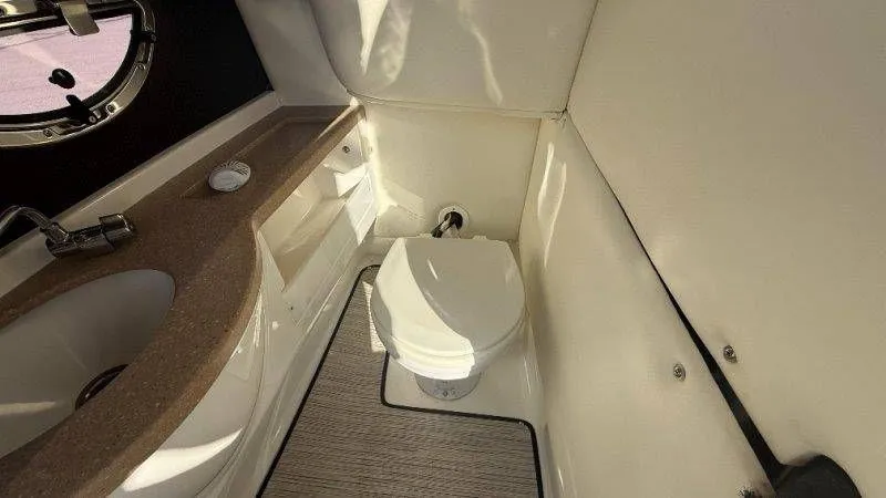 Slide: The Image of Cobalt 252 2007 - 97