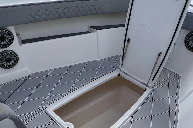 Slide: The Image of 2020 Blackwater 41 Performance Fish boat interior with open storage compartment and speakers. - 18