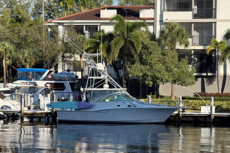 The Image of Cabo 35 Express 2001 - undefined