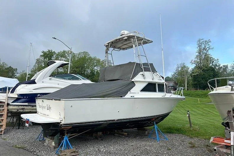 The Image of 1973 Bertram 28 Flybridge Cruiser on stands, covered, with other boats nearby. - 1
