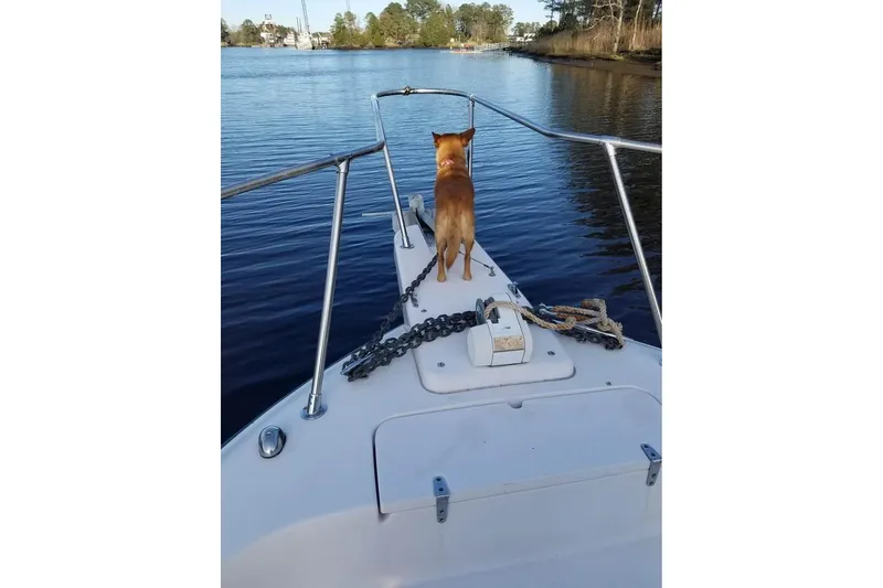 Slide: The Image of Dog on 2003 Grady-White Marlin 300 boat, enjoying a scenic water view. - 15