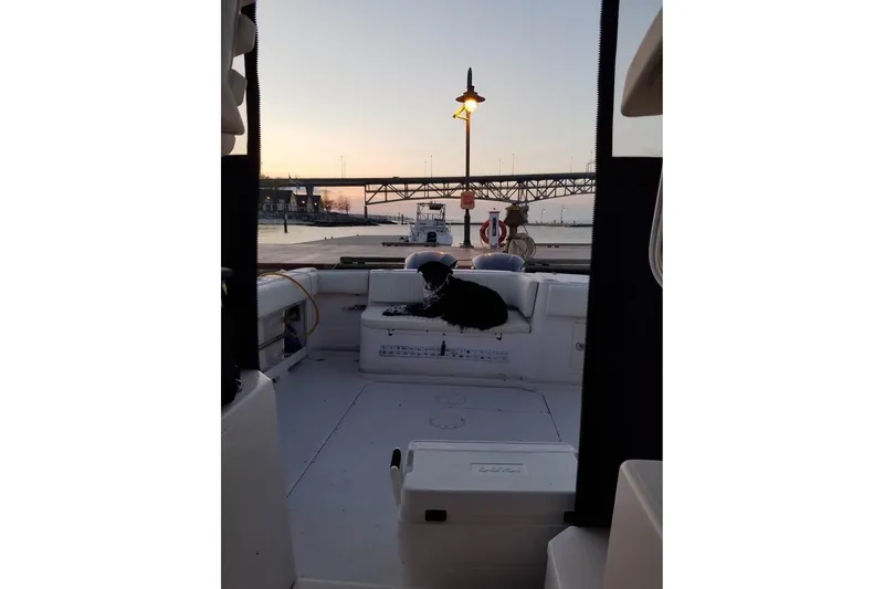 Slide: The Image of 2003 Grady-White Marlin 300 boat at sunset, docked with a dog onboard. - 16