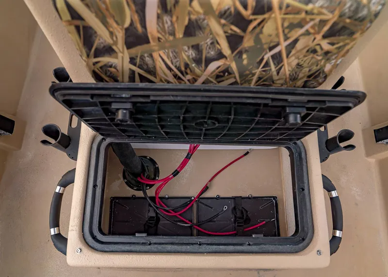 Slide: The Image of Carolina E18JVX 2026 - 16