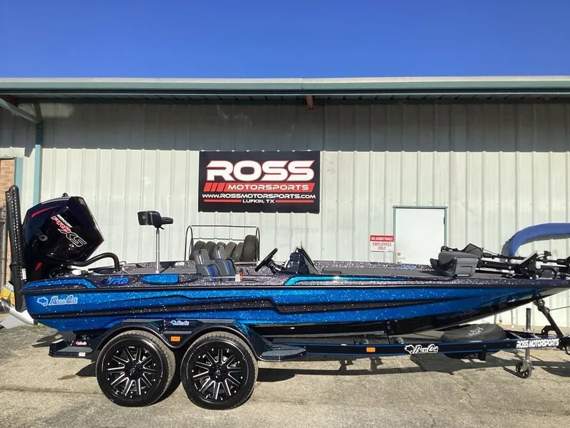 The Image of Bass Cat Eyra 2026 - 1