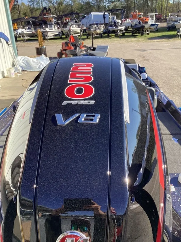 Slide: The Image of Bass Cat Eyra 2026 - 11