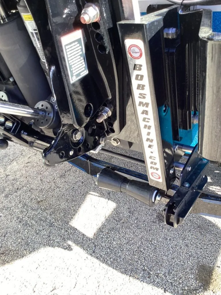 Slide: The Image of Bass Cat Eyra 2026 - 12