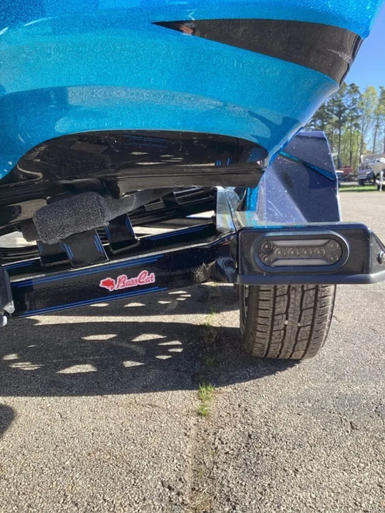 Slide: The Image of Bass Cat Eyra 2026 - 13