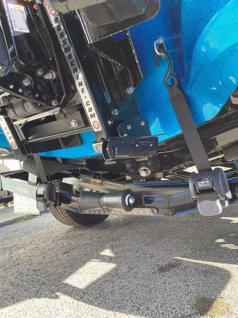 Slide: The Image of Bass Cat Eyra 2026 - 14