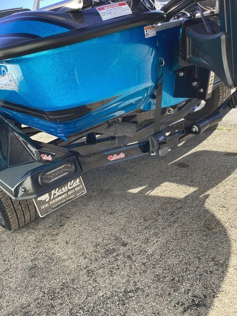 Slide: The Image of Bass Cat Eyra 2026 - 15