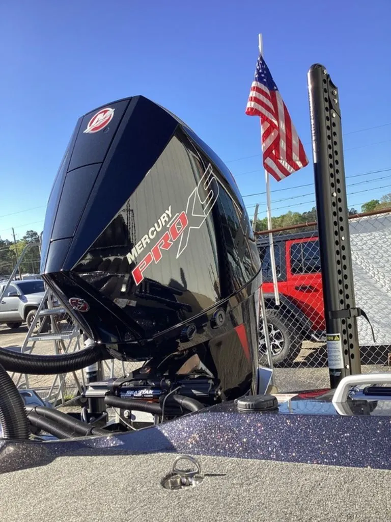 Slide: The Image of Bass Cat Eyra 2026 - 18