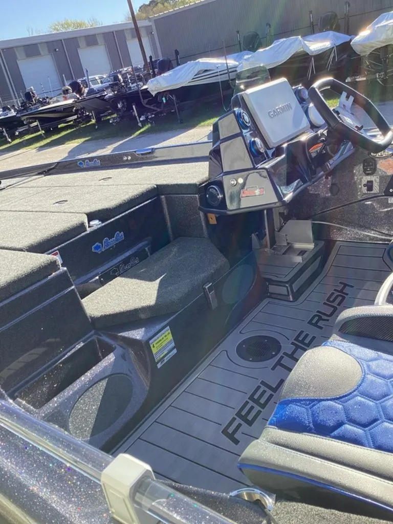 Slide: The Image of Bass Cat Eyra 2026 - 20