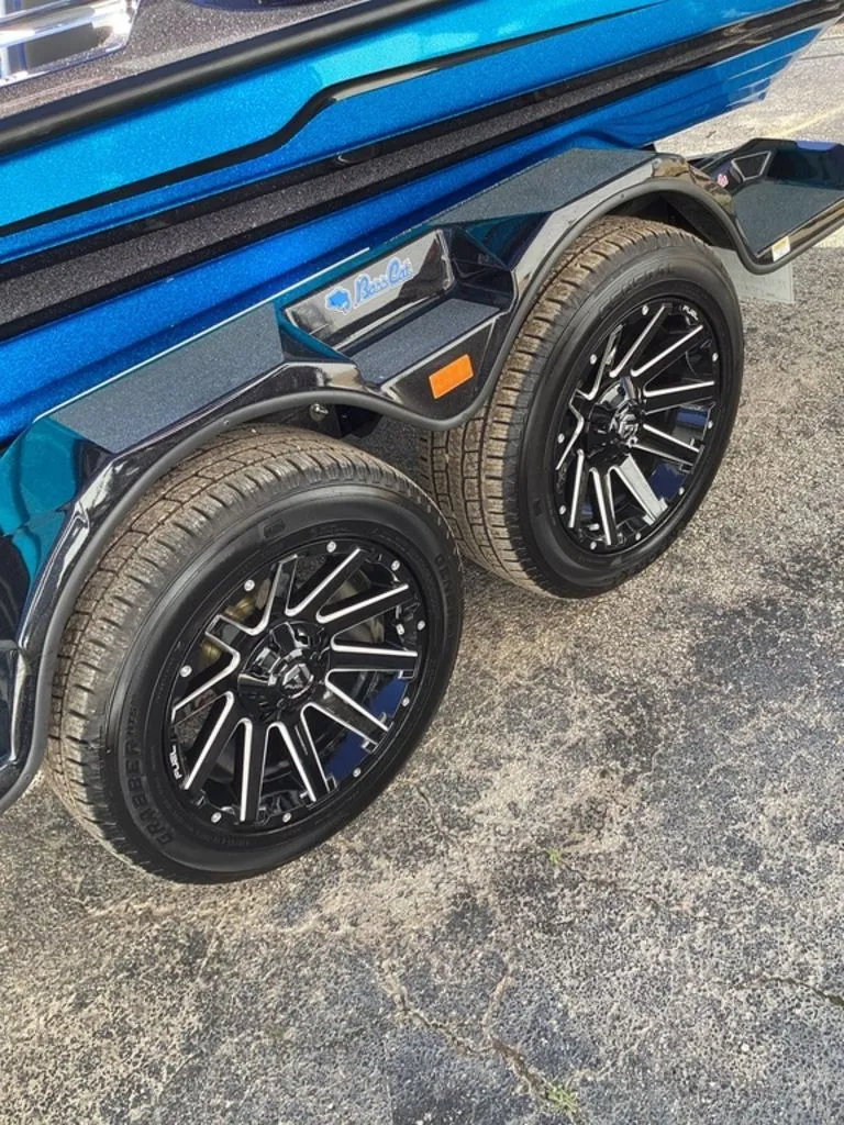 Slide: The Image of Bass Cat Eyra 2026 - 22