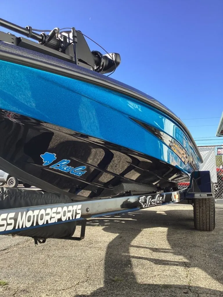 Slide: The Image of Bass Cat Eyra 2026 - 26