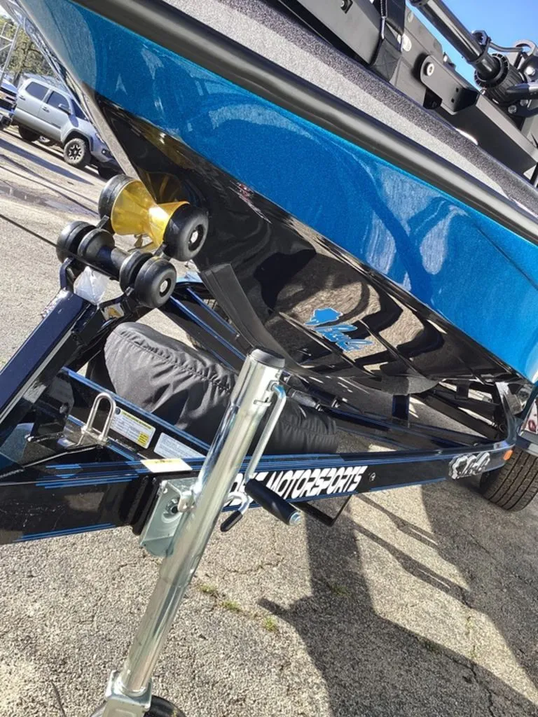 Slide: The Image of Bass Cat Eyra 2026 - 27