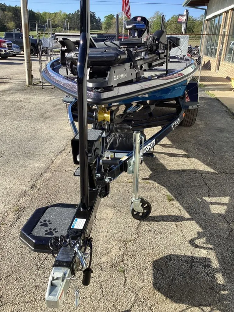 Slide: The Image of Bass Cat Eyra 2026 - 28