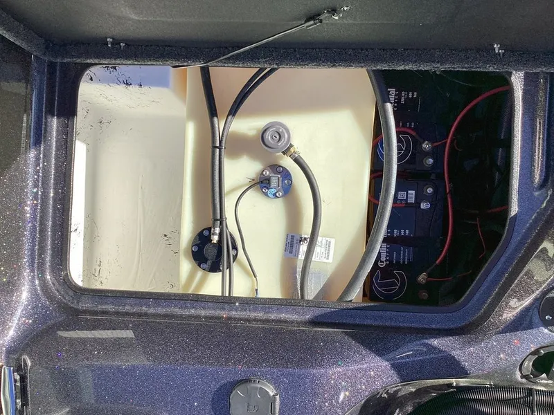 Slide: The Image of Bass Cat Eyra 2026 - 32