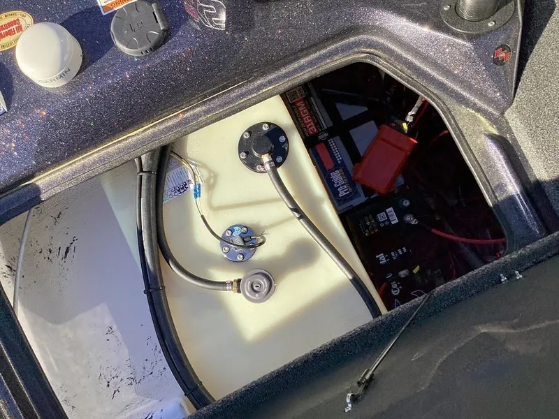 Slide: The Image of Bass Cat Eyra 2026 - 33