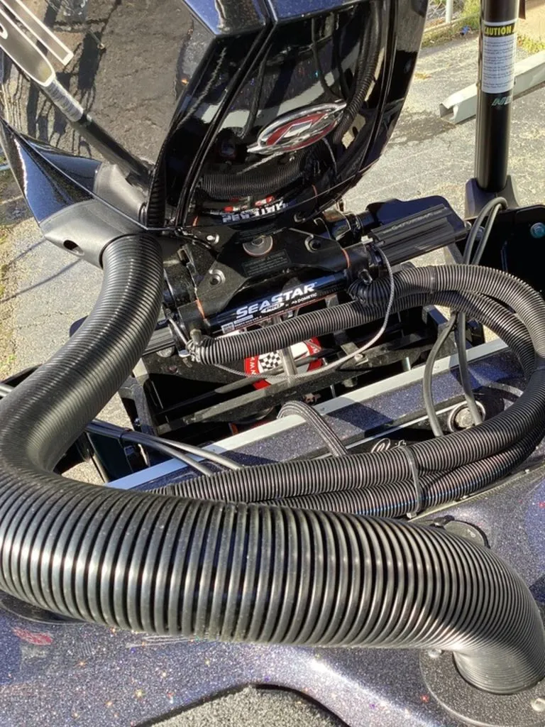 Slide: The Image of Bass Cat Eyra 2026 - 34