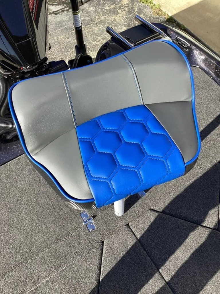 Slide: The Image of Bass Cat Eyra 2026 - 35