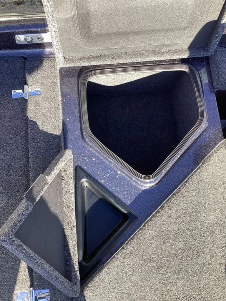 Slide: The Image of Bass Cat Eyra 2026 - 37