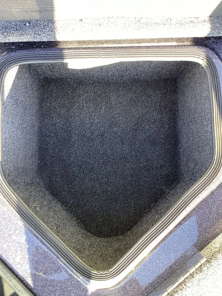 Slide: The Image of Bass Cat Eyra 2026 - 38