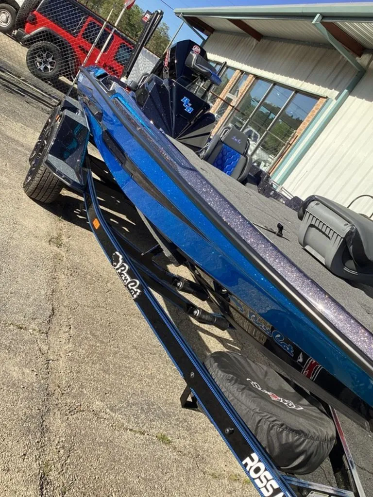 Slide: The Image of Bass Cat Eyra 2026 - 4