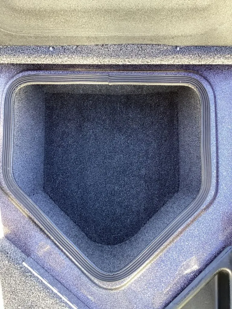 Slide: The Image of Bass Cat Eyra 2026 - 40