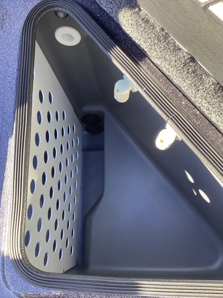 Slide: The Image of Bass Cat Eyra 2026 - 44