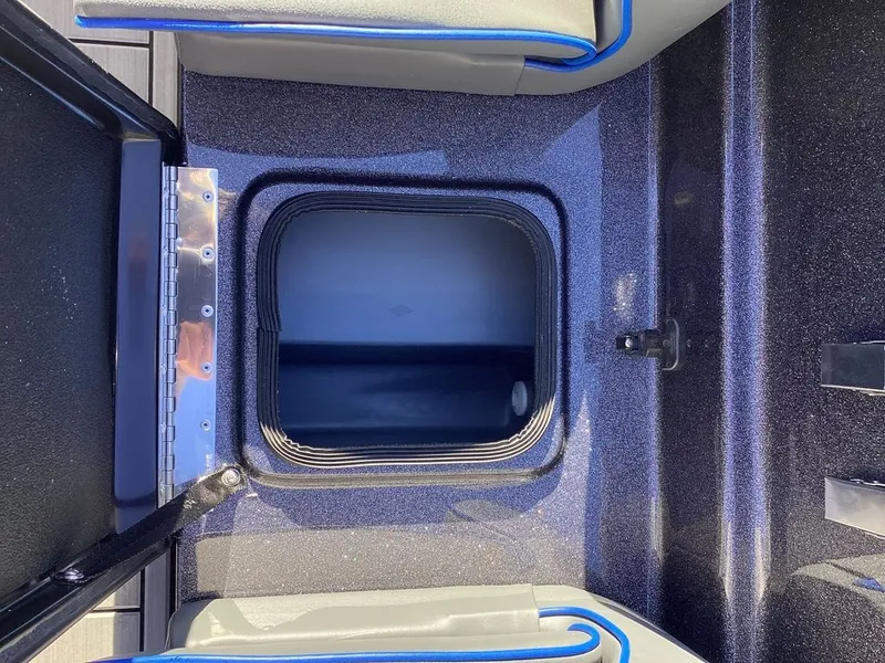 Slide: The Image of Bass Cat Eyra 2026 - 45