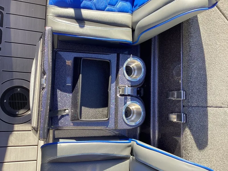 Slide: The Image of Bass Cat Eyra 2026 - 46