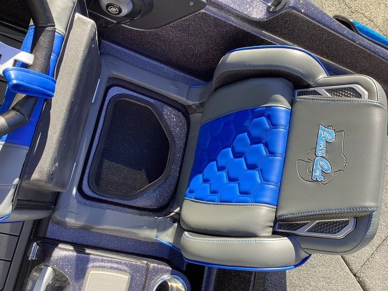 Slide: The Image of Bass Cat Eyra 2026 - 48