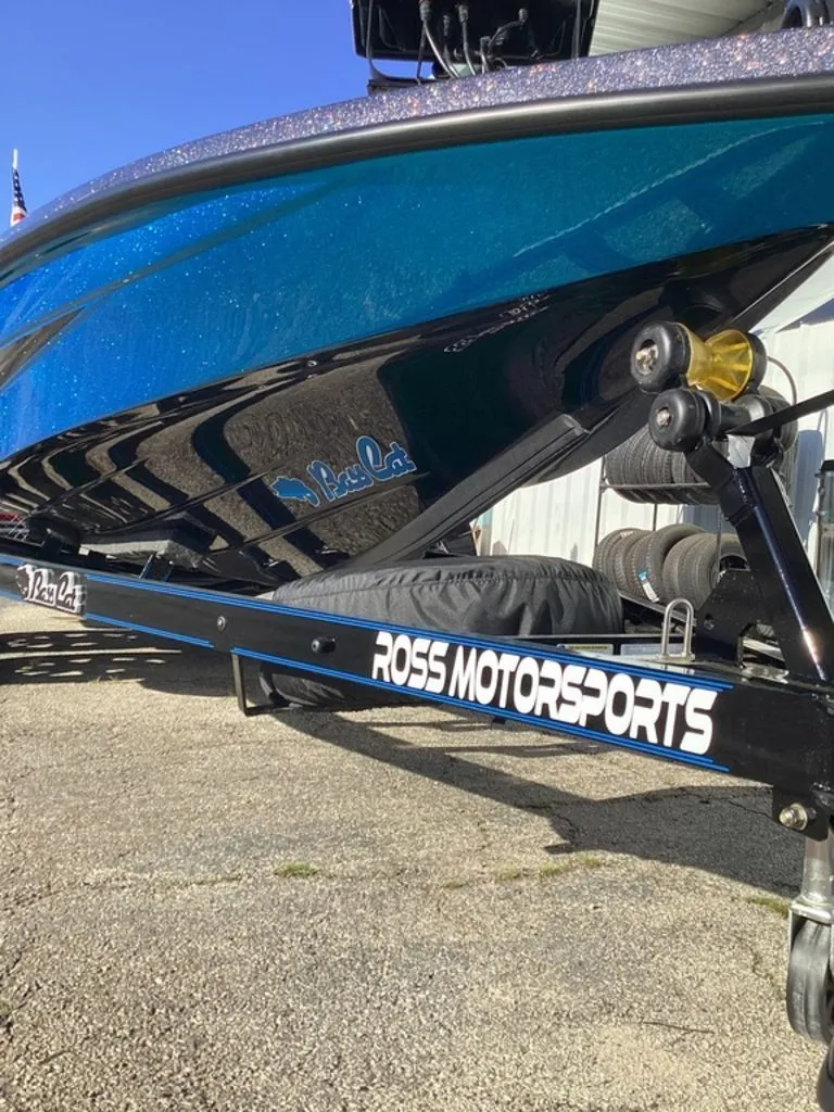 Slide: The Image of Bass Cat Eyra 2026 - 5