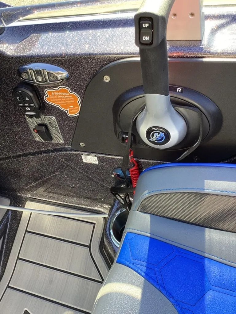 Slide: The Image of Bass Cat Eyra 2026 - 55