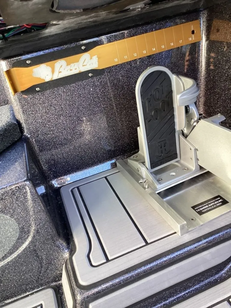 Slide: The Image of Bass Cat Eyra 2026 - 56