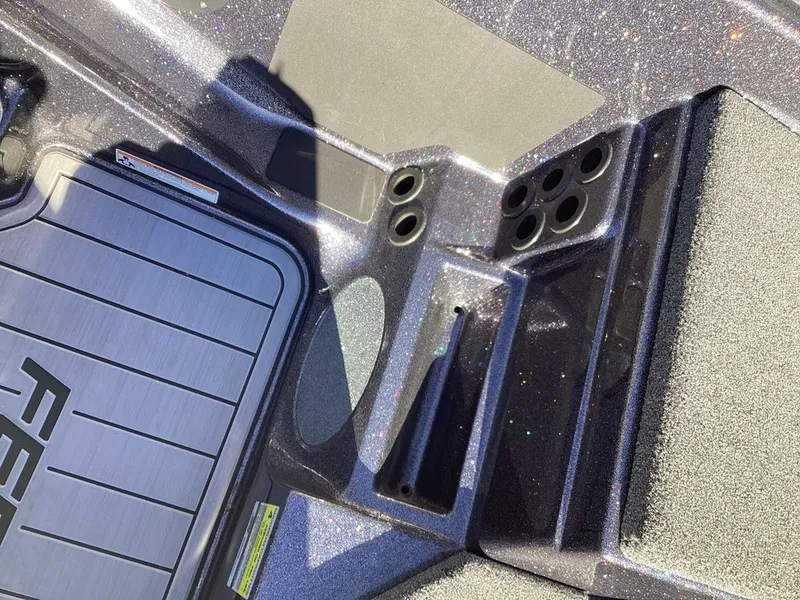 Slide: The Image of Bass Cat Eyra 2026 - 58