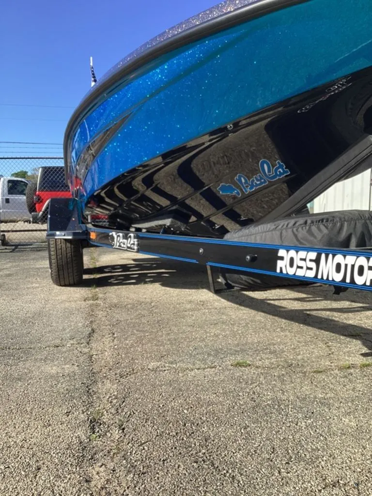 Slide: The Image of Bass Cat Eyra 2026 - 6