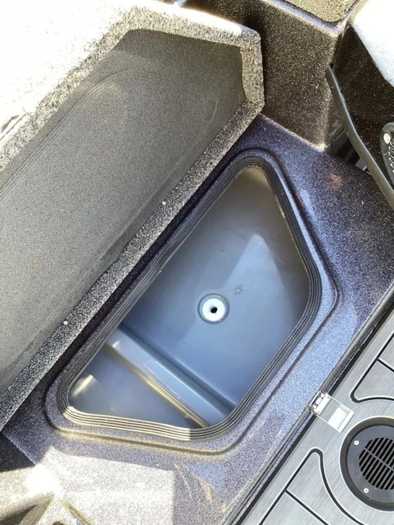 Slide: The Image of Bass Cat Eyra 2026 - 61